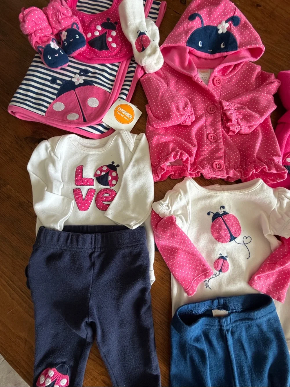 Gymboree complete ladybug